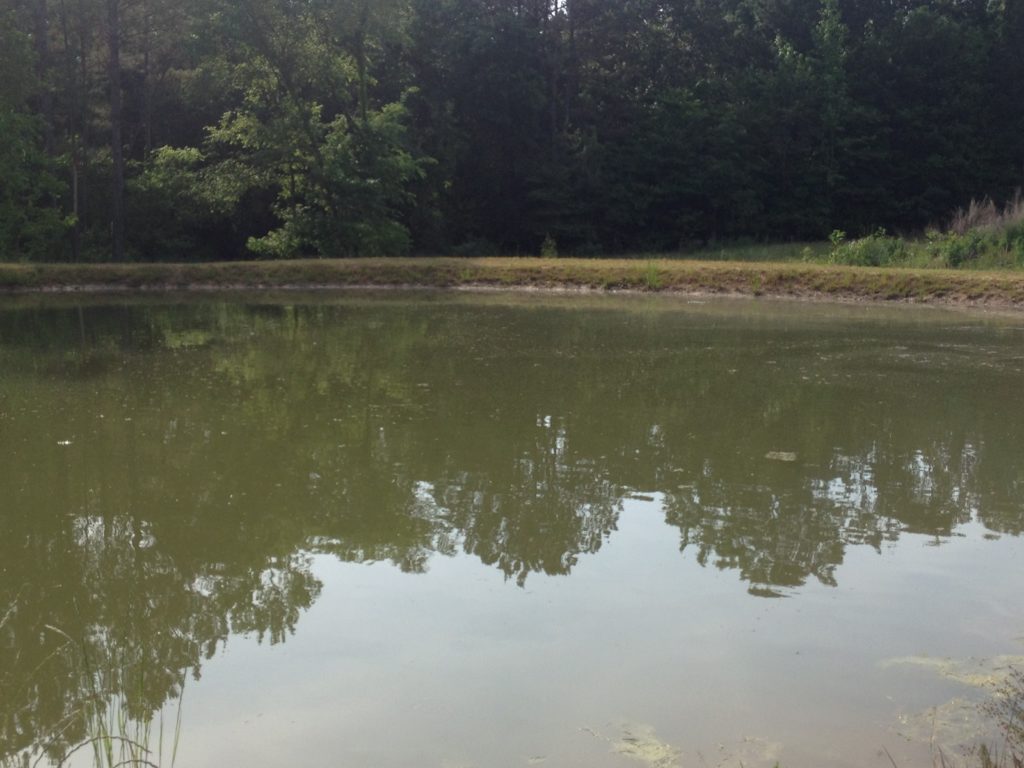 Pine Acres RV Park Catfish Pond